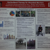 Research Poster by NCSU Graduate Student Amy Borsay