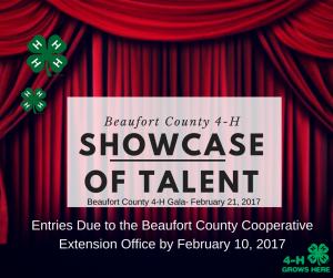 Cover photo for Beaufort County 4-H Showcase of Talent