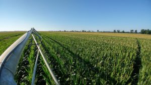 Cover photo for 2017 Blackland Farm Managers Tour (August 2)