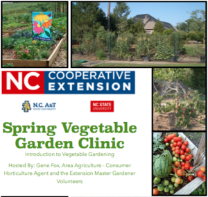 Cover photo for 2018 Spring Vegetable Garden Clinic - an Introduction to Vegetable Gardening