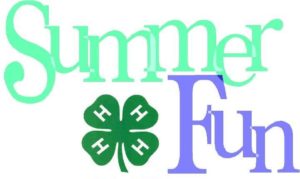 Cover photo for 4-H Summer Day Camps