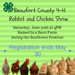 Cover photo for 2018 4-H Rabbit and Chicken Show