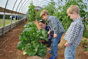 Cover photo for 2019 NC Farm School Down East - Submit Your Application NOW!