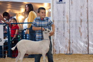 Child showing goat