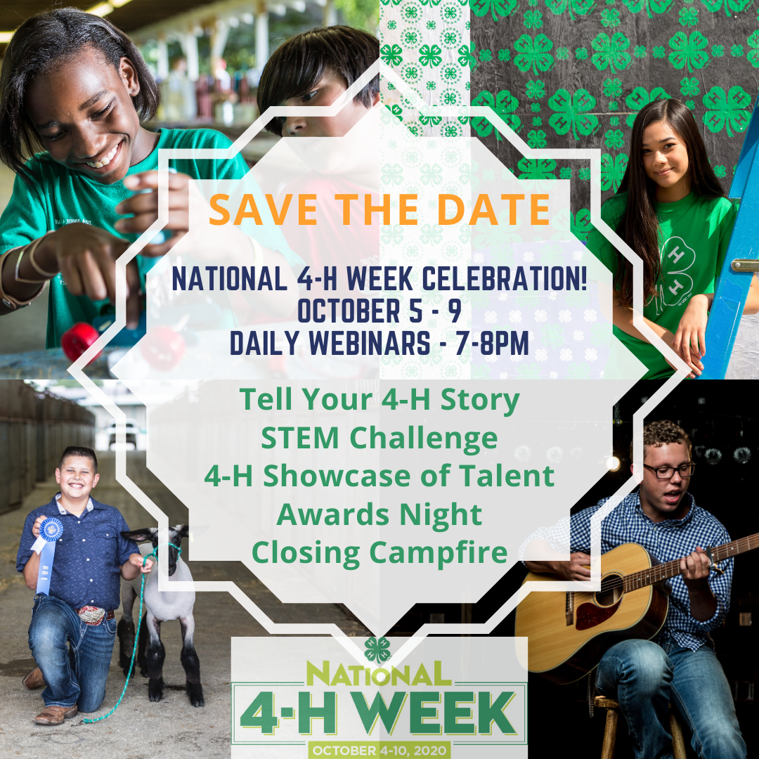 Help Beaufort County 4H Celebrate National 4H Week! Extension