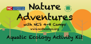 Cover photo for Rent a 4-H Outdoor Activity Kit!