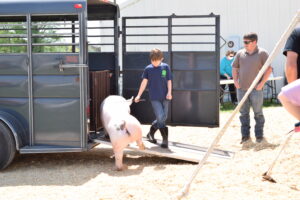 Cover photo for 2022 Beaufort County 4-H Livestock Show and Sale