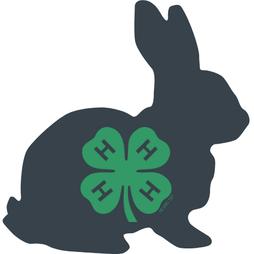 Rabbit outline and 4-H clover