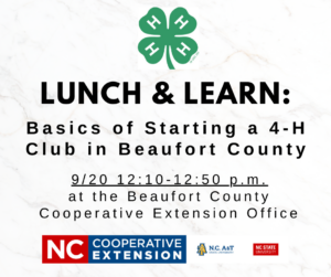 Cover photo for Lunch & Learn  - Basics of Starting a 4-H Club