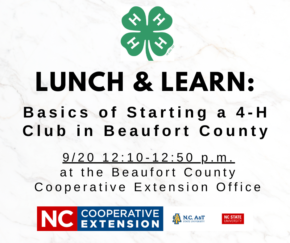 Lunch & Learn Image 