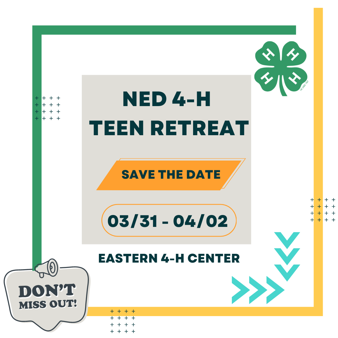 NED 4-H Teen Retreat flyer save the date