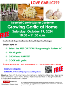 Cover photo for Grow Your Own Garlic: A Simple Solution to Imported Garlic in Eastern North Carolina