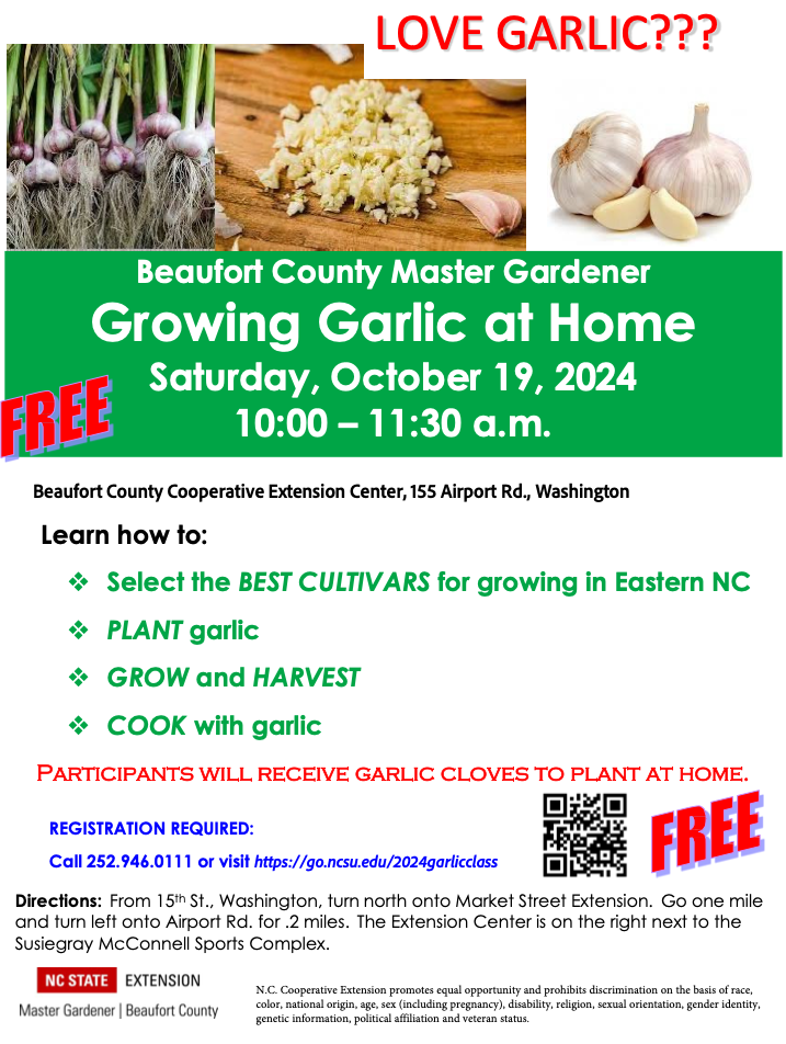 Growing Garlic at Home