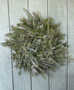 Christmas Greenery from a family-owned farm in Alleghany County, NC