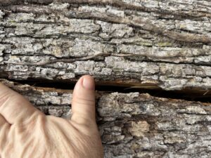 "Crack" shows a crack that was running vertically along the truck approximately 12' long and an inch to two inches wide