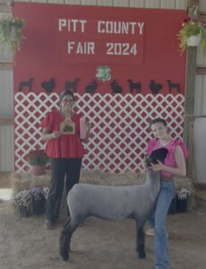 Cover photo for 4-H Livestock Show @ the Pitt County Fair